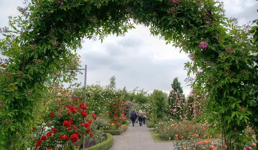 Sangerhausen_Rosarium